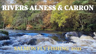 SALMON FISHING  The Rivers Alness amp Carron  Scotland  2021 [upl. by Horst192]