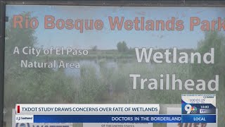 TxDOT study draws concerns over fate of wetlands [upl. by Sally787]