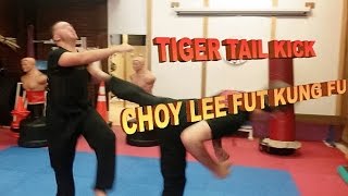 Kung Fu Choy Lee Fut Tiger Tail Kick [upl. by Annazor]