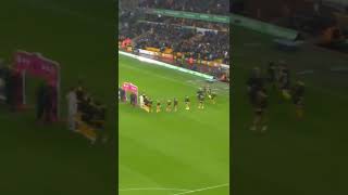 wolves Vs Leicester light show [upl. by Erida]