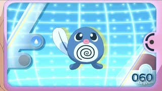 Poliwag Poliwhirl and Poliwrath Pokédex Entrieswmv [upl. by Anitsenre]