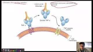 TNFalpha Inhibitors [upl. by Akemehs]