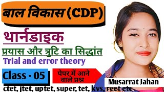 Thorndike Trial And Error Theory MCQ थार्नडाइक का प्रयास और त्रुटि का सिद्धांत CTET JTET [upl. by Euqor]