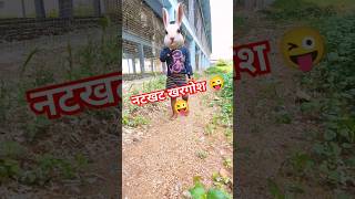 Kaalu re kundalu re doba taru singh 😜😜😜😜🐰🐰🐰trending shorts [upl. by Ragan702]