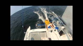 Fast trimaran sailing in British Columbia [upl. by Balbur374]