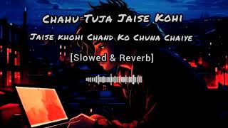 Chahun Tujhe Jaise Kohi Jaise Kohi Chand Ko Chuna Chaiye Lofi Song Slowed amp Reverb [upl. by Eelegna]