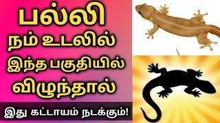 பல்லி நம் உடலில் இந்த பகுதியில் விழுந்தால் இது கட்டாயம் நடக்கும்   palli vilum palangal in tamil [upl. by Yssenhguahs]