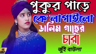 পুকুর পারে কি লাগাইলো ডালিম গাছের চারা। pukur pare k lokalo dalim gajar jui baulaMR music bangla [upl. by Anson633]