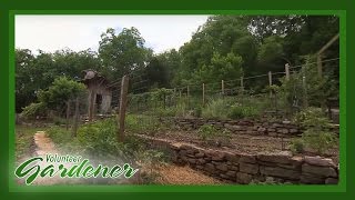 Terraced Vegetable Garden  Volunteer Gardener [upl. by Nylsirk]