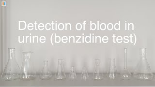 66 Detection of blood in urine benzidine test [upl. by Ihana167]