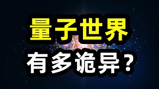 量子世界为什么如此诡异？ 微观粒子都像幽灵一样，可以同时处于多个位置！ [upl. by Pelagi]