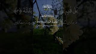 Surah ul Qiyamahquranrecitation islamicvideoshortvideo viralvideo 2024 [upl. by Woermer]