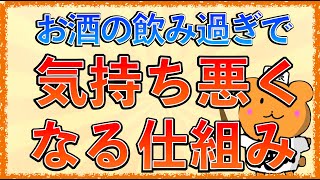 イラストで学ぶ医学！「お酒と肝臓の仕組み」お酒の飲み過ぎて気持ち悪くなる理由は？アセトアルデヒドって何？ [upl. by Aryan]