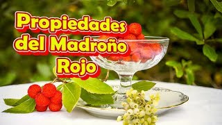 Propiedades del Madroño Rojo [upl. by Oyek]