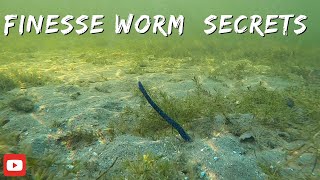 Finesse worm bass fishing  Insane underwater footage [upl. by Asyal173]