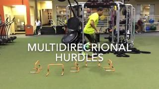 Multidirectional hurdles [upl. by Hgielhsa]