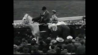 Toparoa  Melbourne Cup 3200m 1955  Trained by Tommy Smith [upl. by Nickolas]