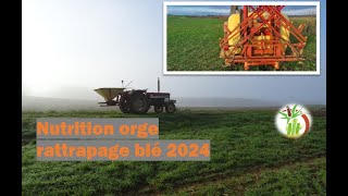 oligo rattrapage herbes et engrais dans lorge 2024 [upl. by Akcemat230]