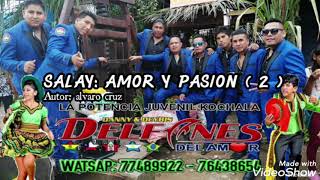 LOS DELFINES DEL AMOR  SALAY AMOR Y PASION  2  PRIMICIA 2019 [upl. by Ainnet]