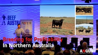 Breeding for profitability in Northen Australia [upl. by Gniliem]