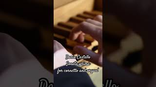 Dario Castello Sonata Prima for cornetto amp organ short seicentostravagante [upl. by Nnawtna]