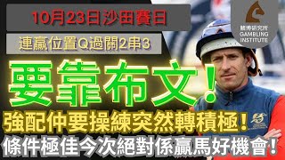 【賽馬貼士】10月23日 連贏位置Q過關2串3｜要靠布文！｜強配仲要操練突然轉積極！條件極佳今次絕對係贏馬好機會！ [upl. by Higginbotham]