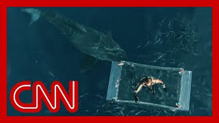 New heartstopping footage of massive great white shark attack [upl. by Xonnel658]