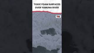 watch  Delhi’s Pollution Crisis Toxic Foam Resurfaces on Yamuna River [upl. by Yelrac]