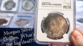 Morgan Silver Dollar Show and Tell GSA Carson City [upl. by Monie]