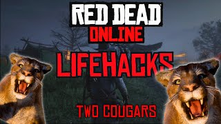 RDR2 Lifehacks  Find Two Cougars fast and easy for your Daily Challenge [upl. by Banky]