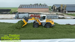 Gras hakselen 2024  Chopping grass  Grassilage  Oudwoude  Liebherr  New Holland  Liebherr [upl. by Shena502]