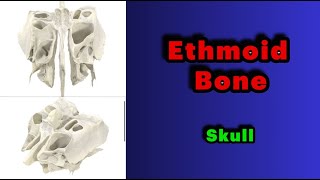 جلسه 21 Ethmoid bone [upl. by Yerfdog]