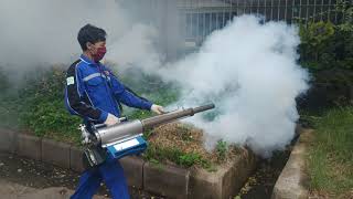 FOGGING NYAMUK CEGAH PENYEBARAN AEDES AEGYPTI [upl. by Breeze]