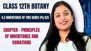 CLASS 12  CH4 PRINCIPLES OF INHERITANCE AND VARAITIONS  NCERT PG 62  INHERITANCE OF TWO GENES [upl. by Neerahs622]