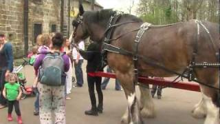 Our rehomed horses  Baron the Clydesdales Story [upl. by Serrell]