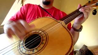 Guitarron Solo El Cascabel Improvisation [upl. by Jovia191]