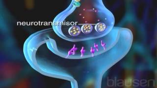 Animación 3D de como funcionan las neuronas [upl. by Hagen]