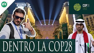 DENTRO LA COP28 negli EMIRATI ARABI UNITI UAEDUBAI [upl. by Airb]