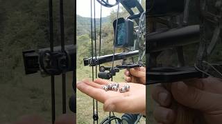 crossbow shooting slingshot shortsfeed kalapati slingshotrifle hunting shorts reels trending [upl. by Aropizt226]