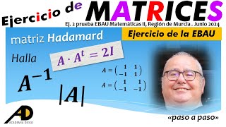 ¿Sabes qué es una MATRIZ de HADAMARD MATRIZ INVERSA ACADEMIADIEGO [upl. by Limaa630]