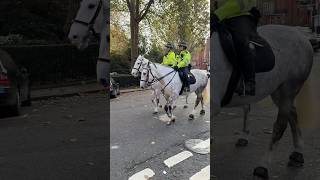 Horse police on duty in London horseguard horses horse [upl. by Magee]