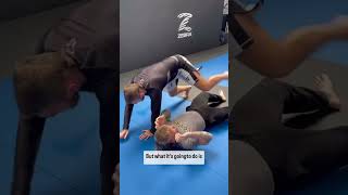 The Simplest Half Guard Sweep mma bjj [upl. by Gonnella]