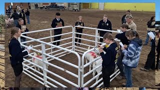 FFA District Livestock Evaluation [upl. by Edith]