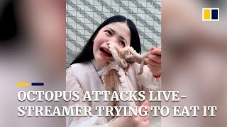 Octopus attacks livestreamer as she tries to eat it alive in China [upl. by Forbes]