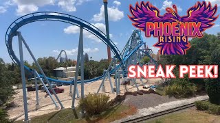 Phoenix Rising preview from the Skyride  LIVE at Busch Gardens Tampa Bay [upl. by Cyd]