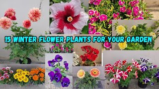 Winter Flowering Plants for Your Garden [upl. by Kelsi982]