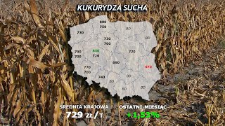 270 agro wiadomości nonstop  15102024 [upl. by Ameluz879]