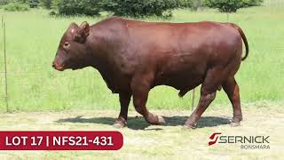 LOT 17  NFS21431  POENA [upl. by Nelg]