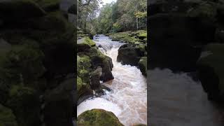 The Strid at Bolton Abbey [upl. by Ogg]