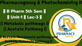 Metabolic pathways  Acetate pathway  Acetate Mevalonate pathway amp Acetate malonate pathway [upl. by Ysteb]